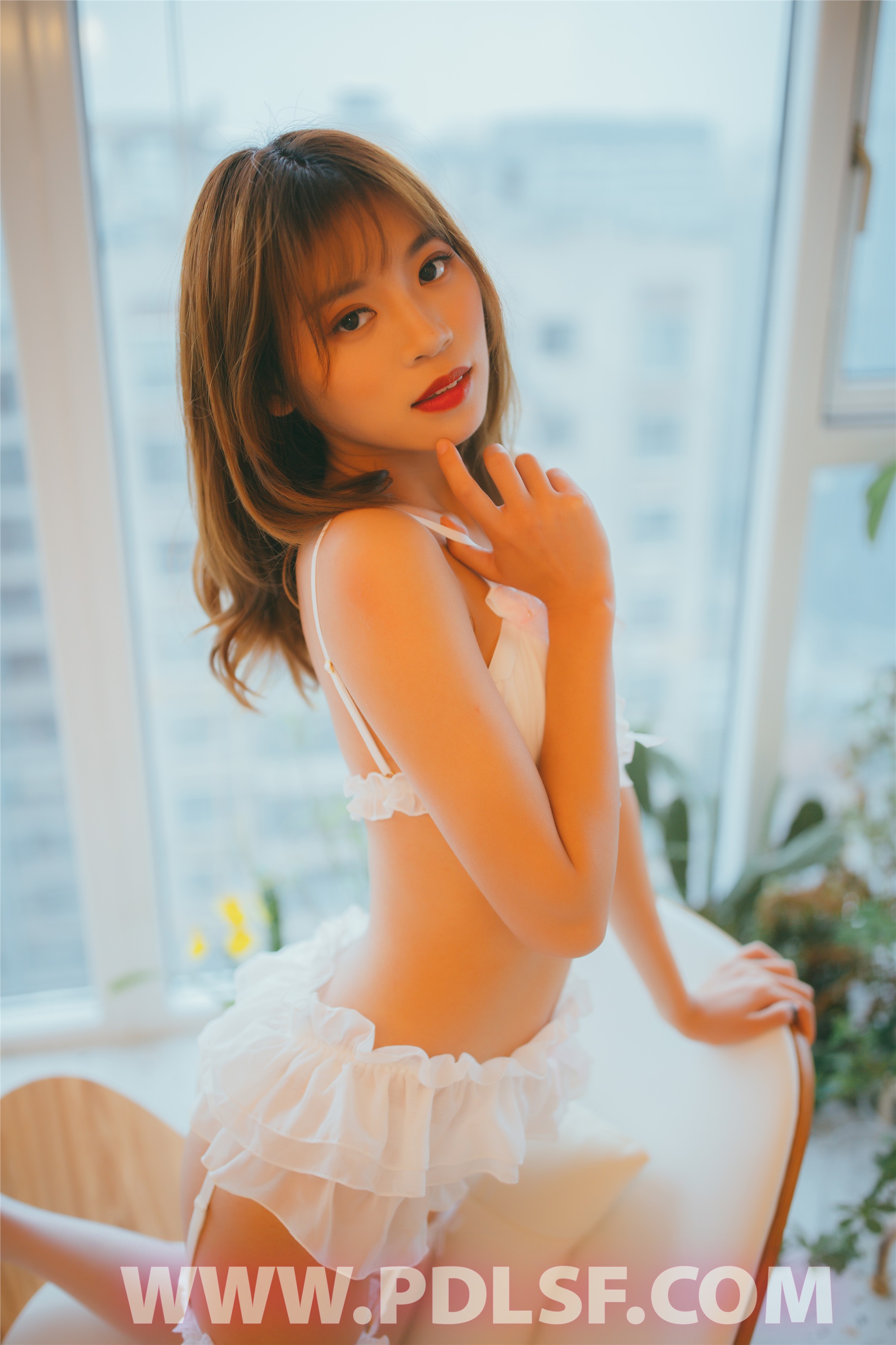 PDL潘多拉 2020.02.09 专辑No.279